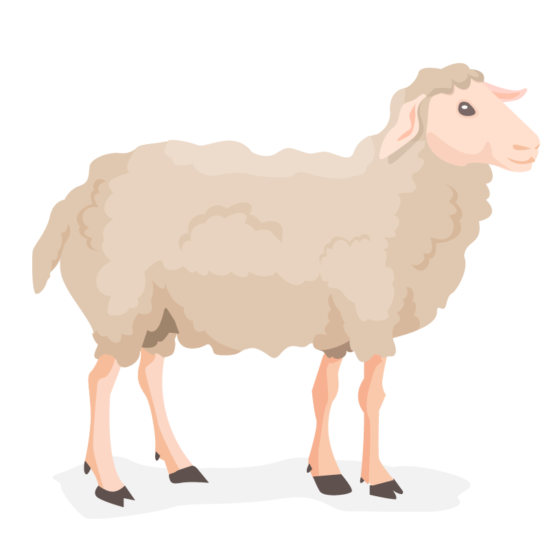 mutton